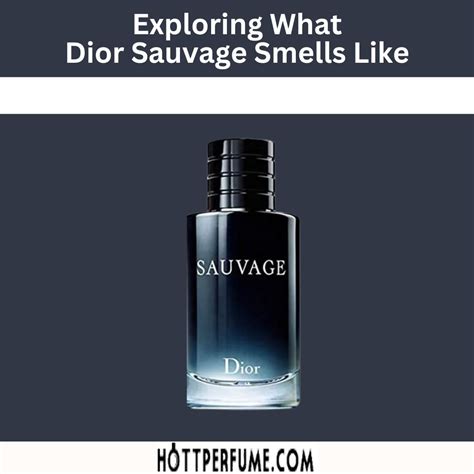 dior savash|what does Dior Sauvage smell like.